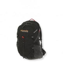 Pinguin batoh Ride 25